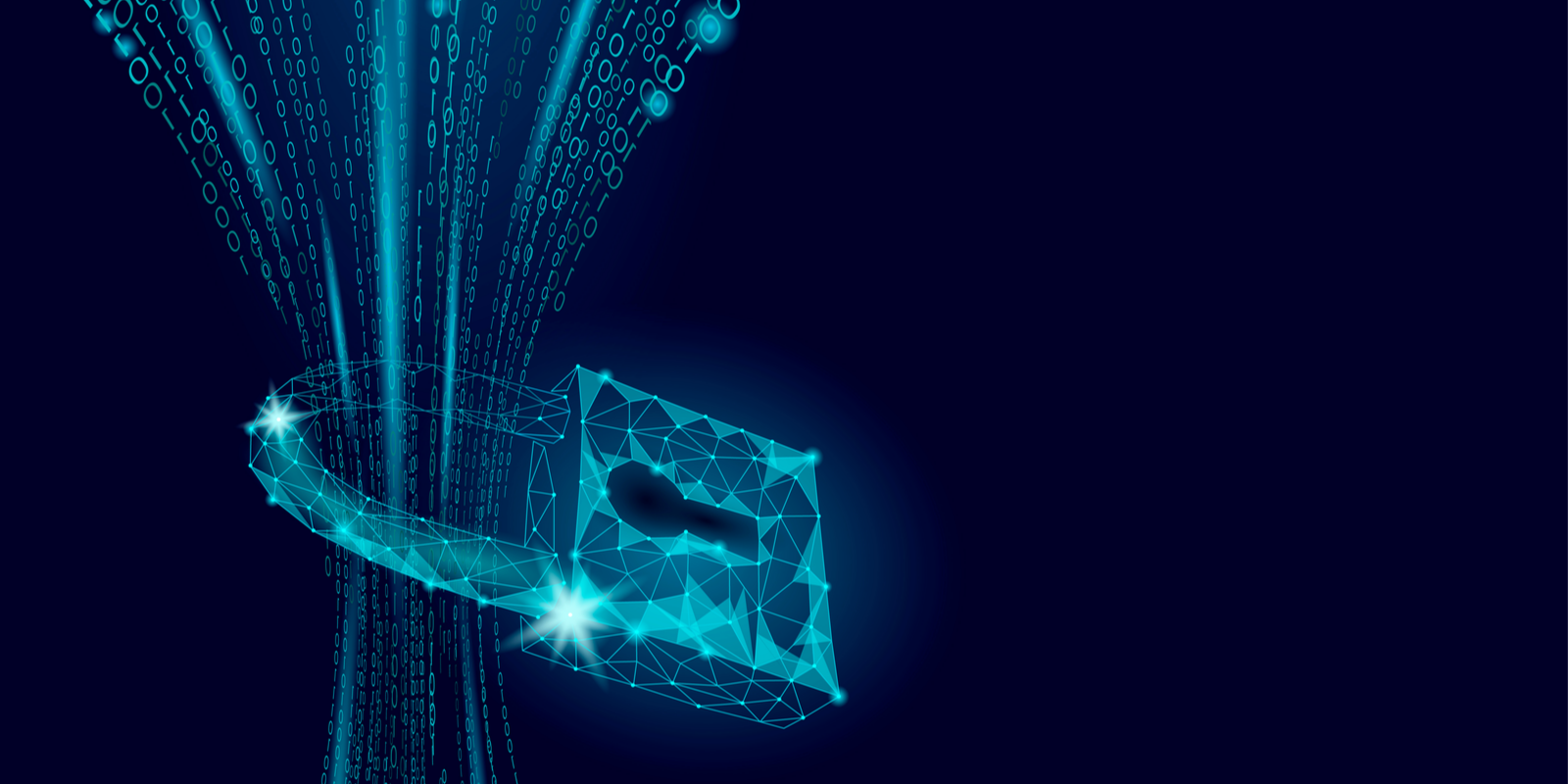 SecureDL Locked Data Flow